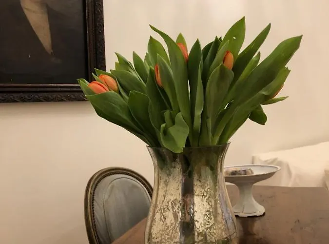 Apartment Visione Via Sant'andrea Delle Fratte, 36